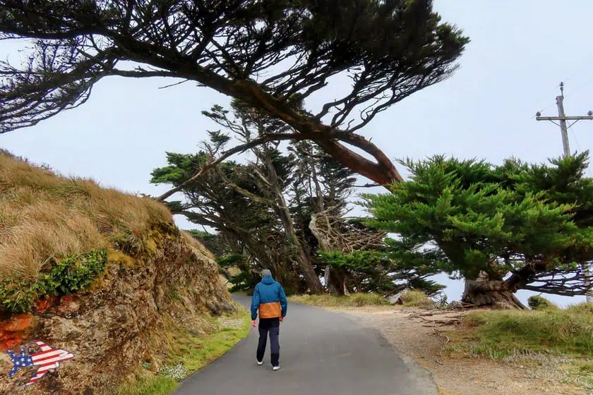 Strada per il Point Reyes Lighthouse
