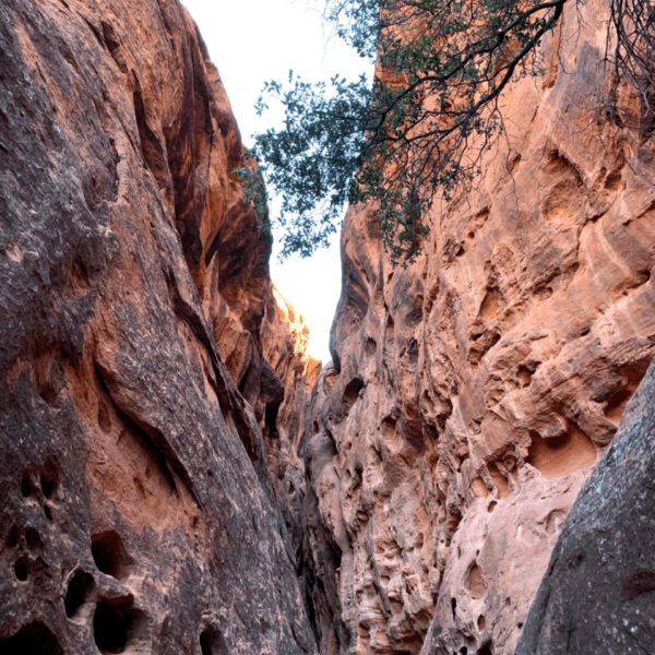 Jenny’s Canyon