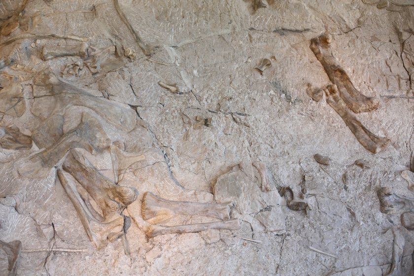 dinosaur national monument utah