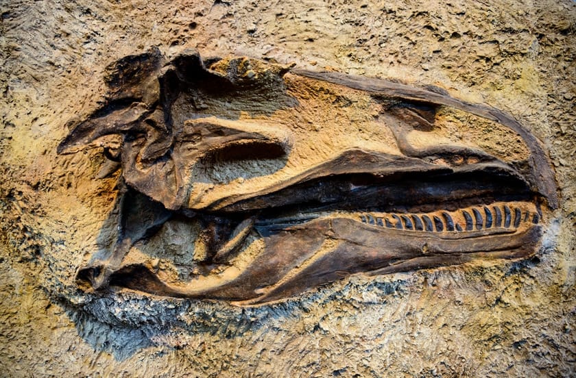 Dinosaur National Monument utah