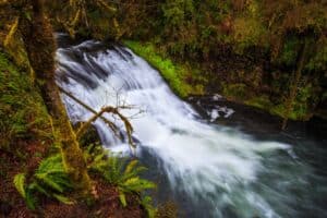 Drake Falls