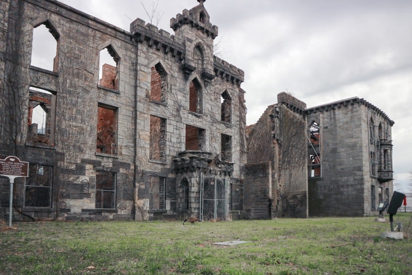 film girati a roosevelt island