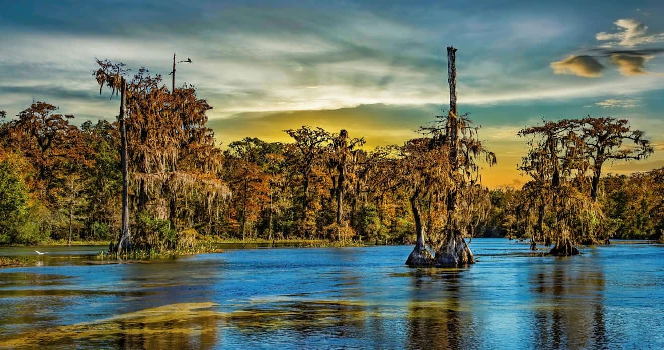 Louisiana usa