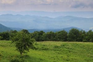 Spitler Knoll Overlook