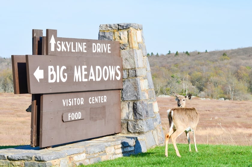 big meadows
