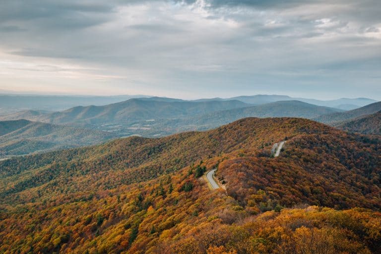 Skyline drive virginia