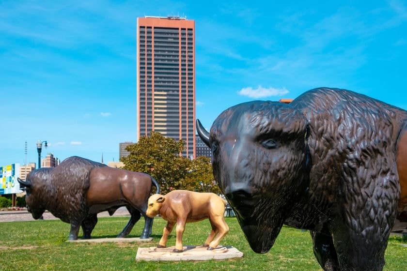 Buffalo NY informazioni e storia