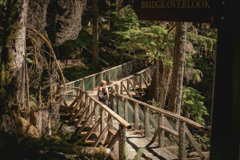 North Cascades - Ladder Creek Falls Trail