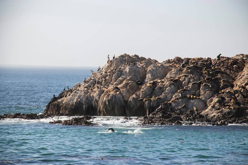 17 mile drive california