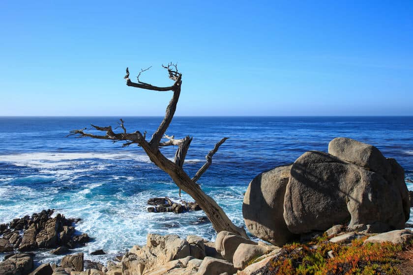 17-mile drive california