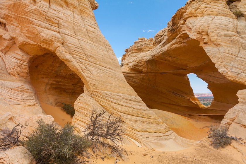 arizona USA the wave