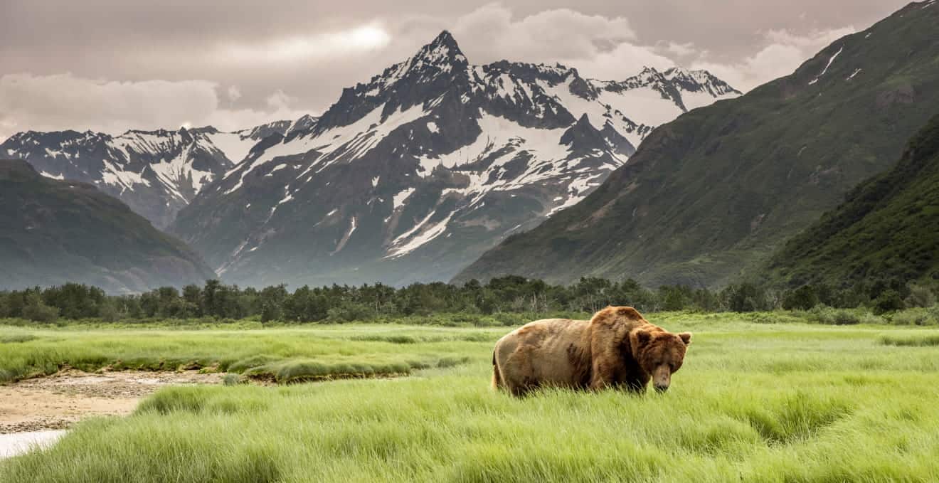Alaska tour 10 giorni self drive