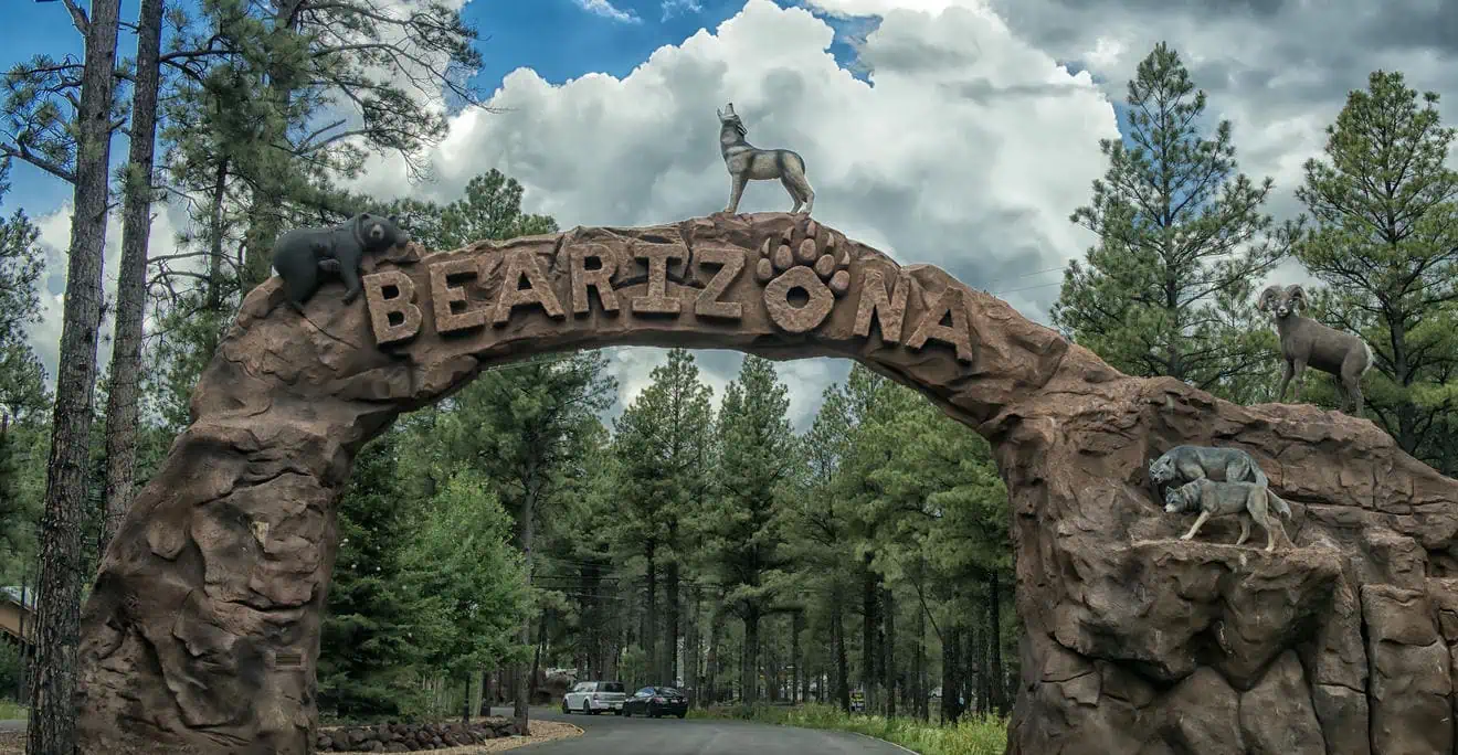 Bearizona Wildlife Park