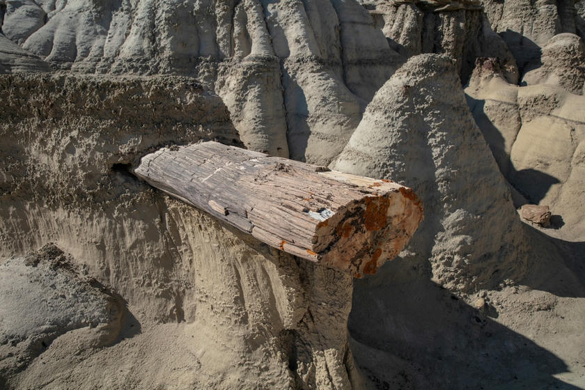Bisti De-Na-Zin - Petrified Cove