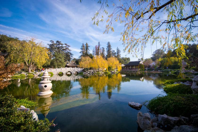 Huntington Botanical Gardens - Giardino giapponese