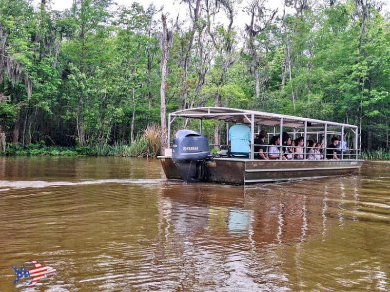tour guidato swamp new orleans