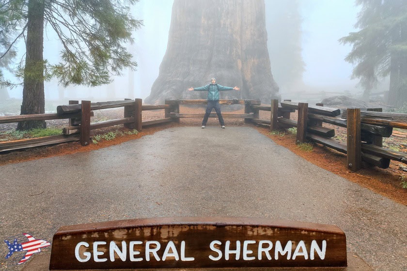 General Sherman Tree - Lorenzo