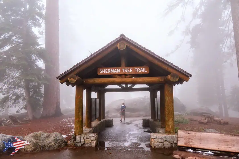 General Sherman Tree Trail