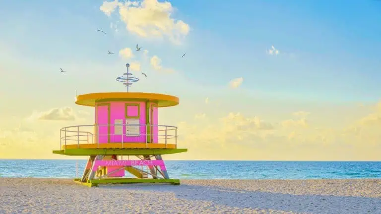 cosa vedere in florida