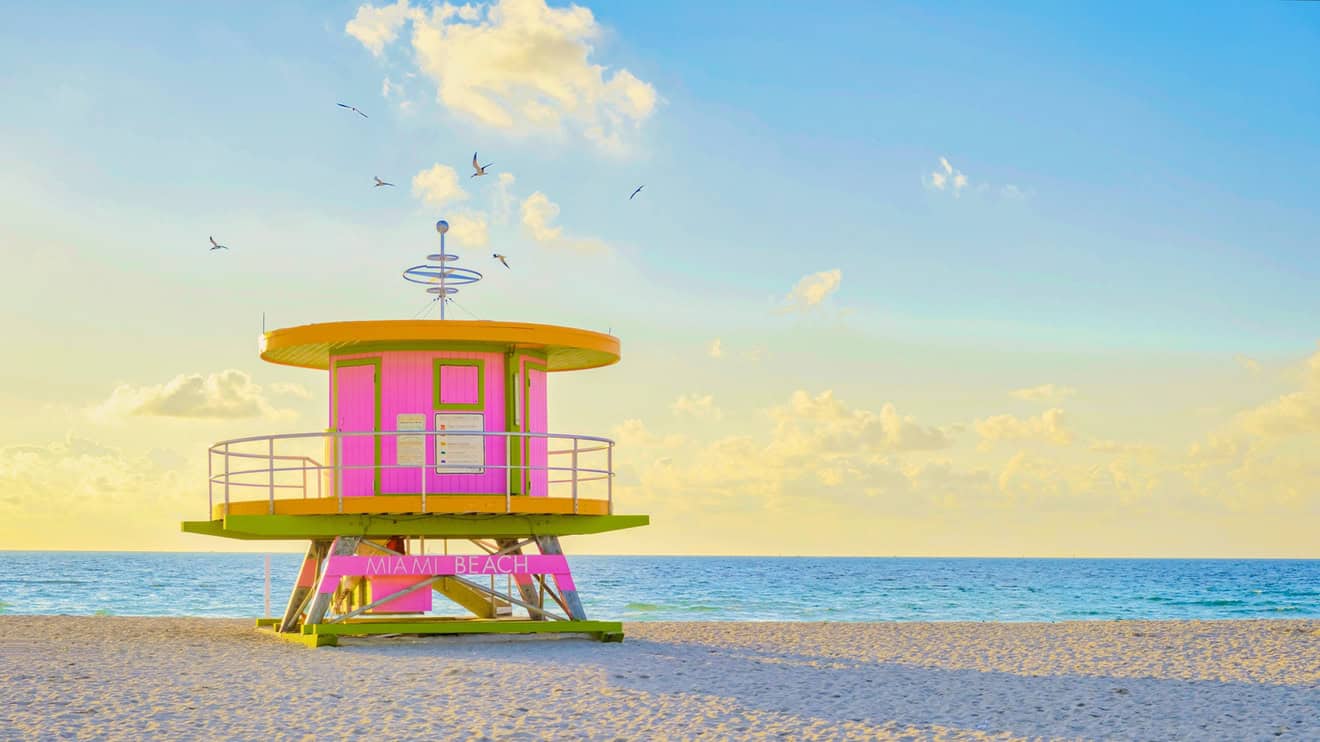cosa vedere in florida
