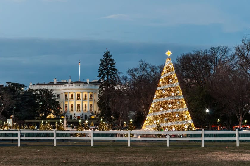 The National Christmas Tree in Washington, D.C.