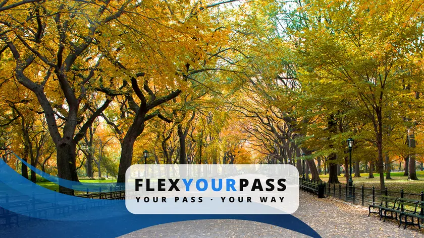 pass new york SUMMIT